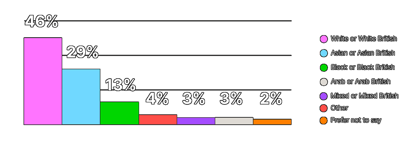 Diversity in numbers infographic